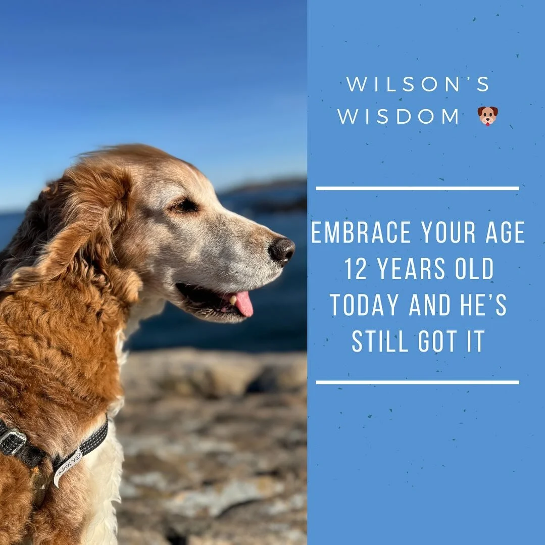 Happy Birthday Wilson- you make us laugh, move and remember the simple joys in life everyday!