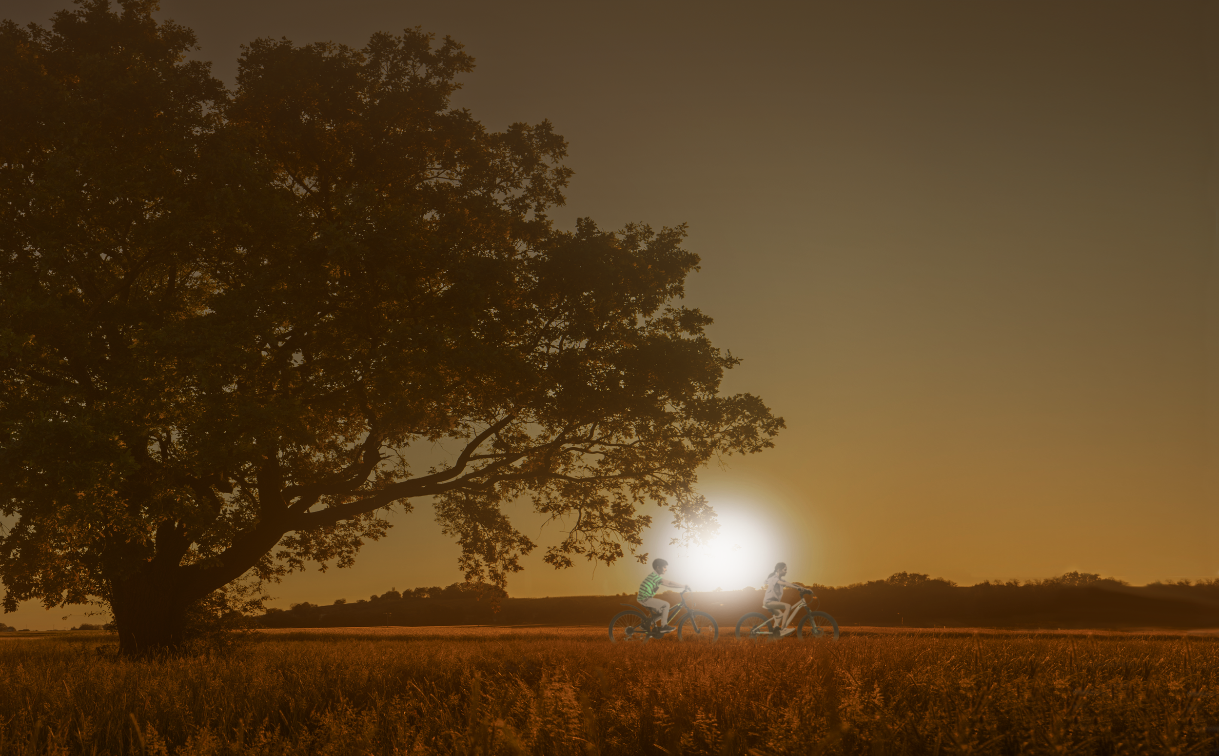 WEB GLORIA Intro BG Image.png