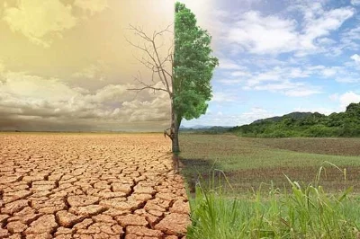 Impacte environnement.jpg