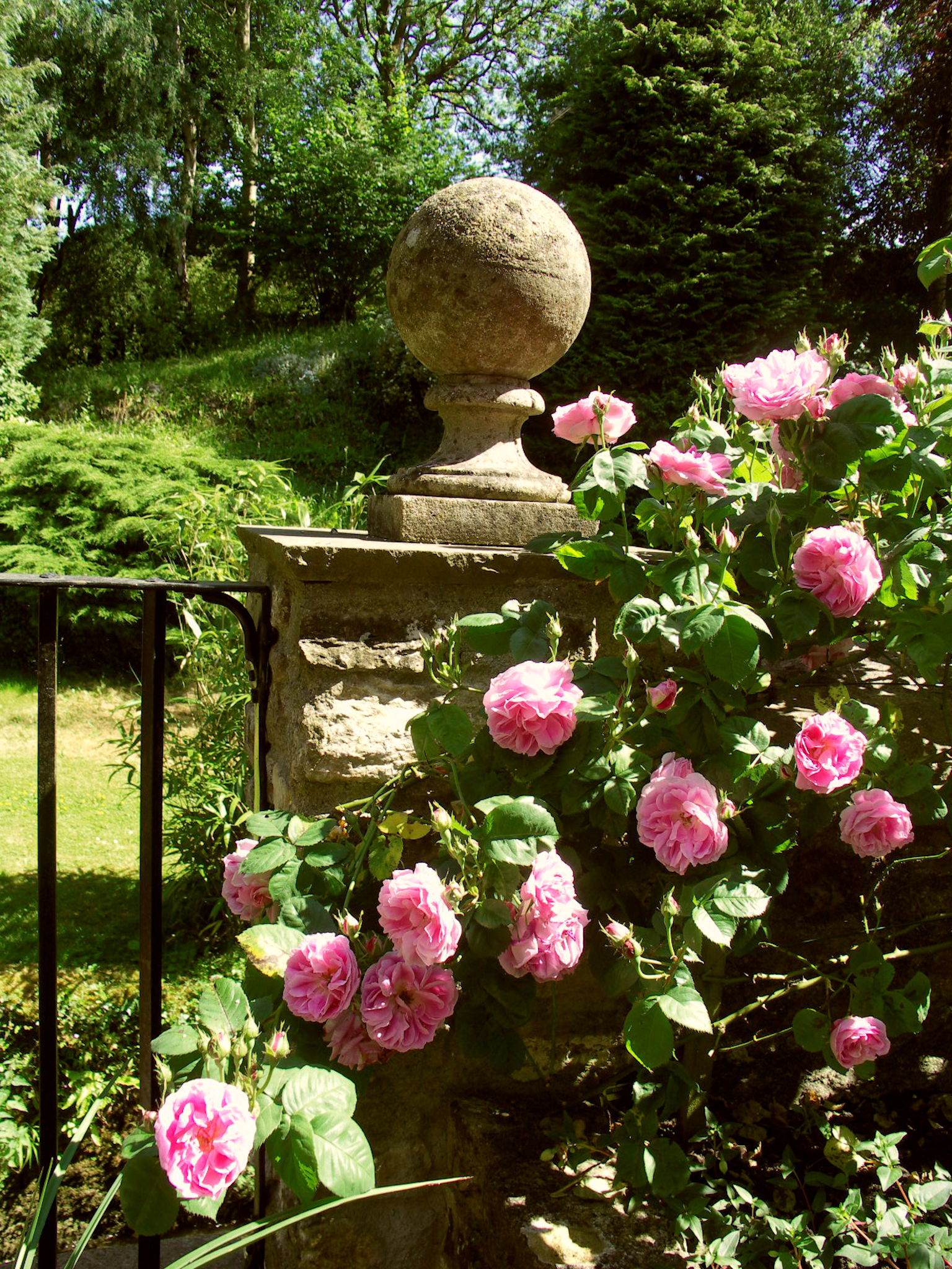Roses & pillar.jpg