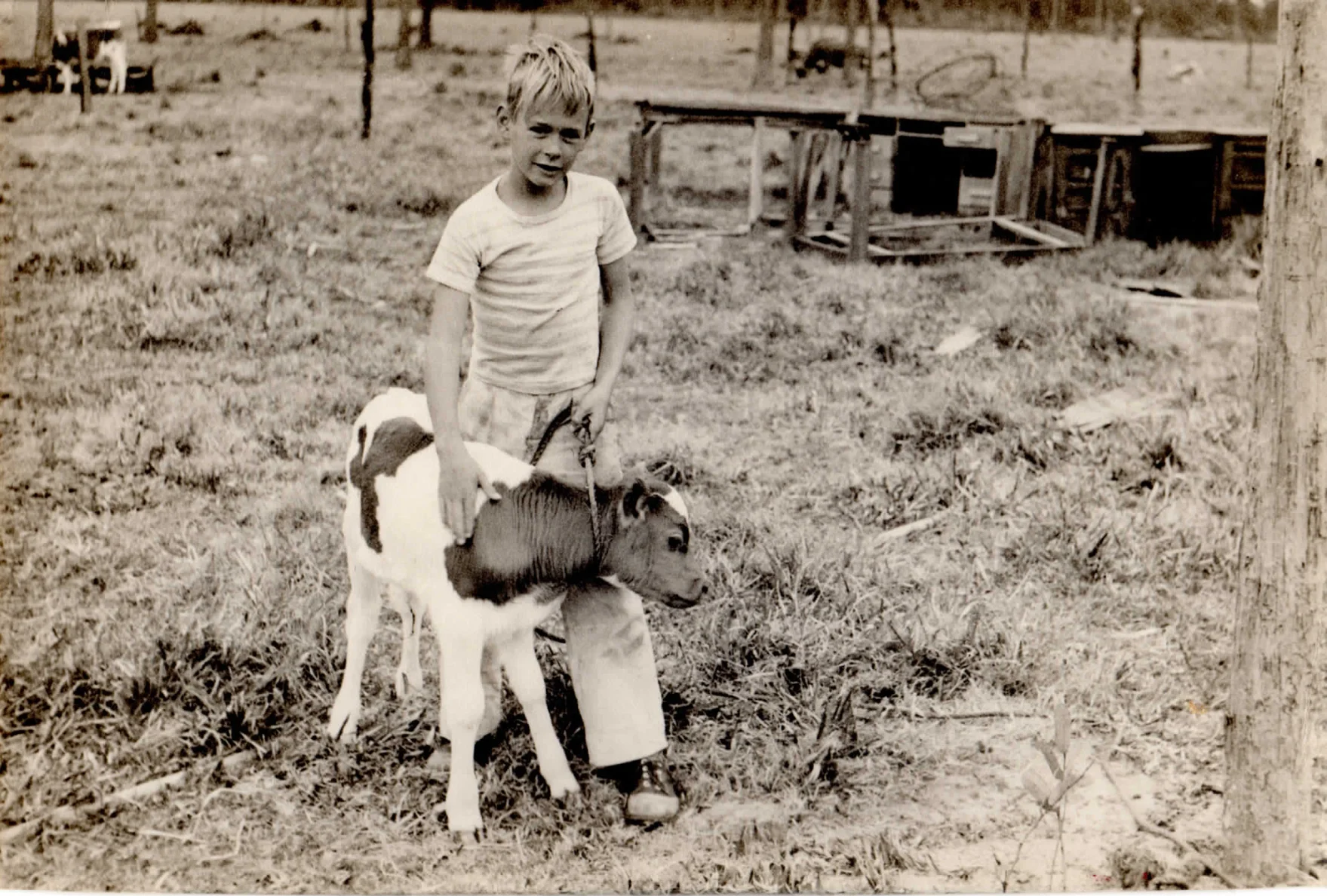 On the farm: my Dad as a young boy