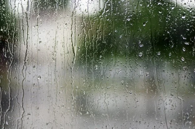 Are you noticing a lot of condensation on your windows or walls?