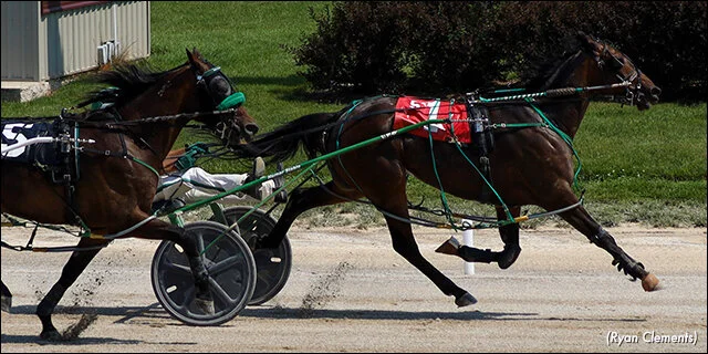 Heza Handy Man Rises, Repeats