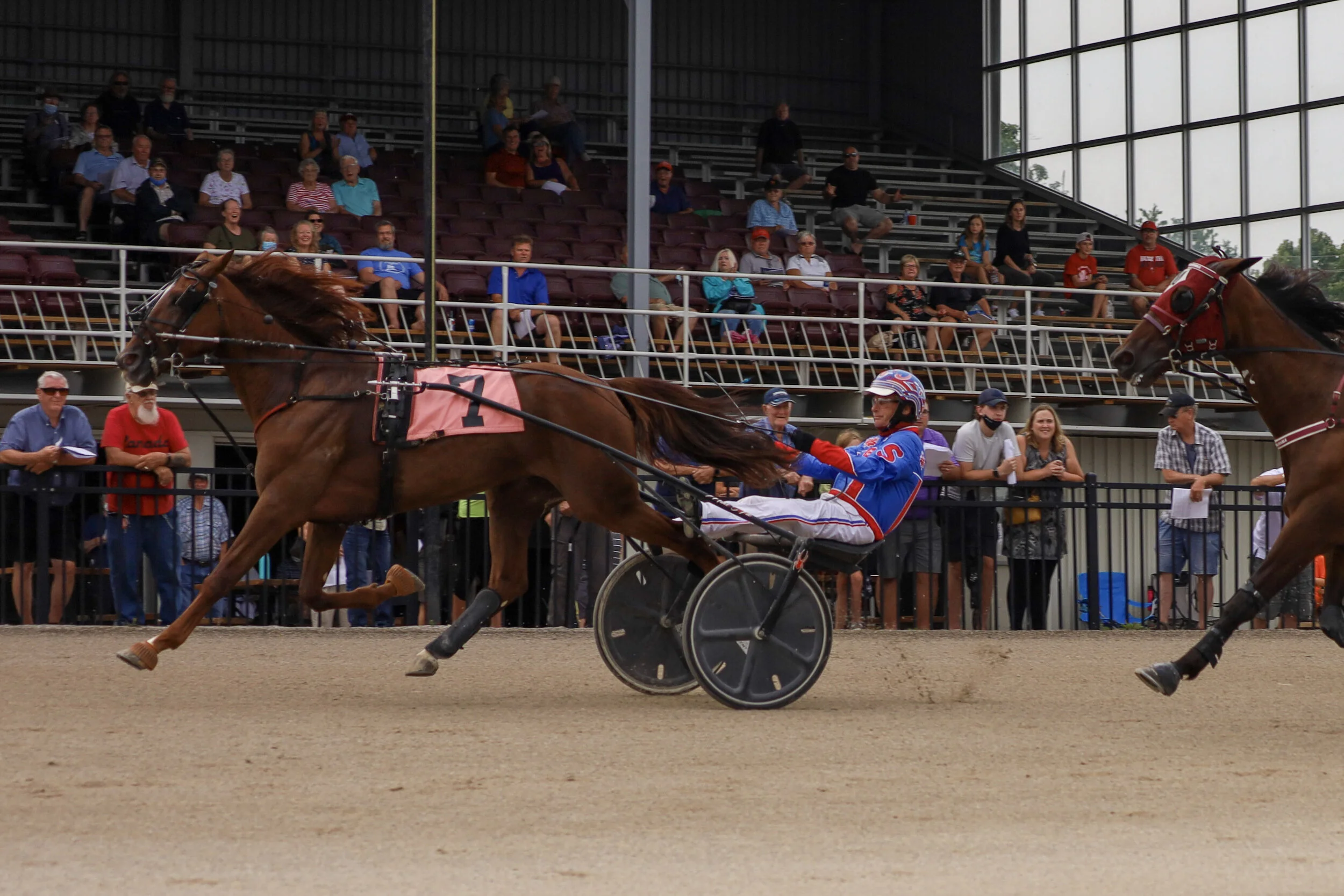 Vic Hayter Memorial to Charmbo Prince