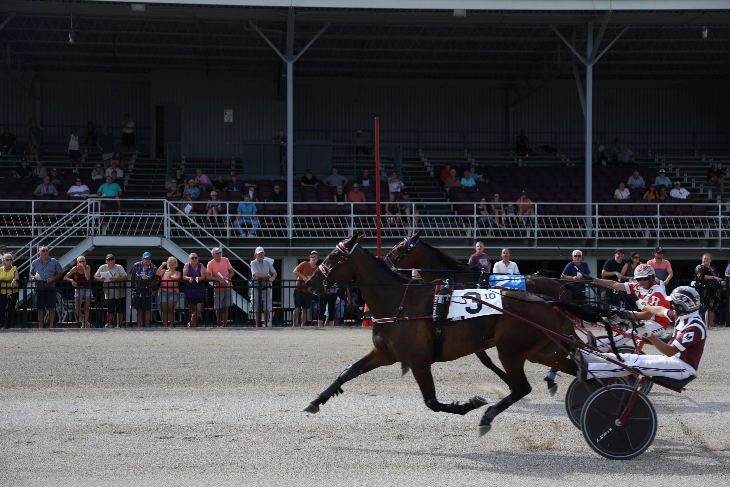 Power And Grace Takes Track Record In Hayter Memorial