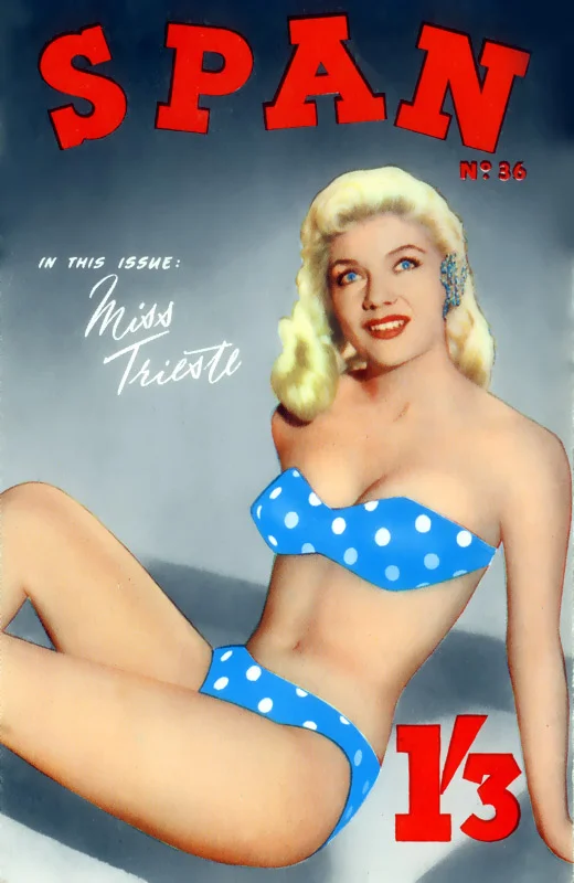 Span Cover36.jpg