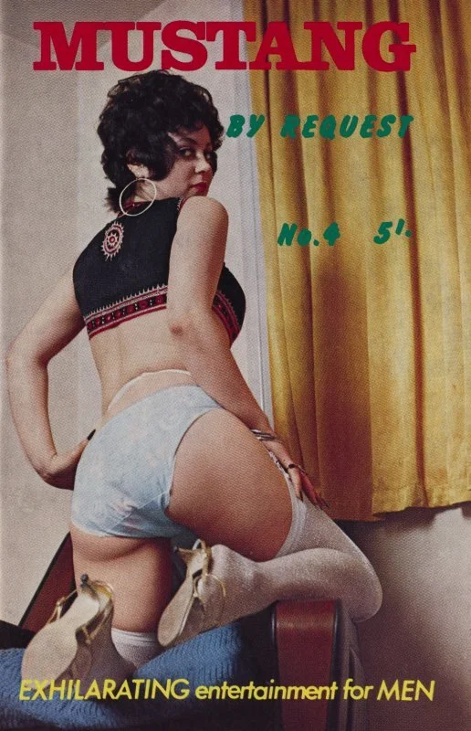 Mustang By Request No 4.jpg