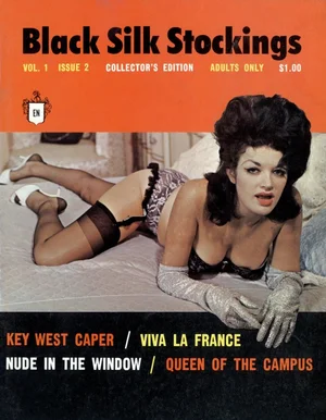 Black Silk Stockings - 1963 USA Stockings and Suspenders From The 1960s