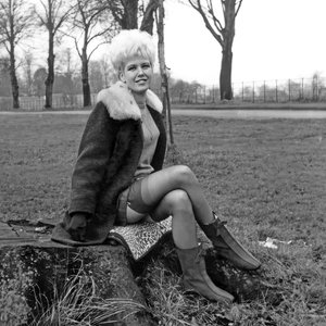 Lisa Scott - 1960's Stocking Model. Town and Country Publications