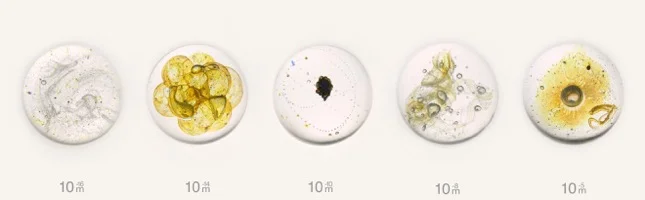 10^-x m - Where are you? , 2017