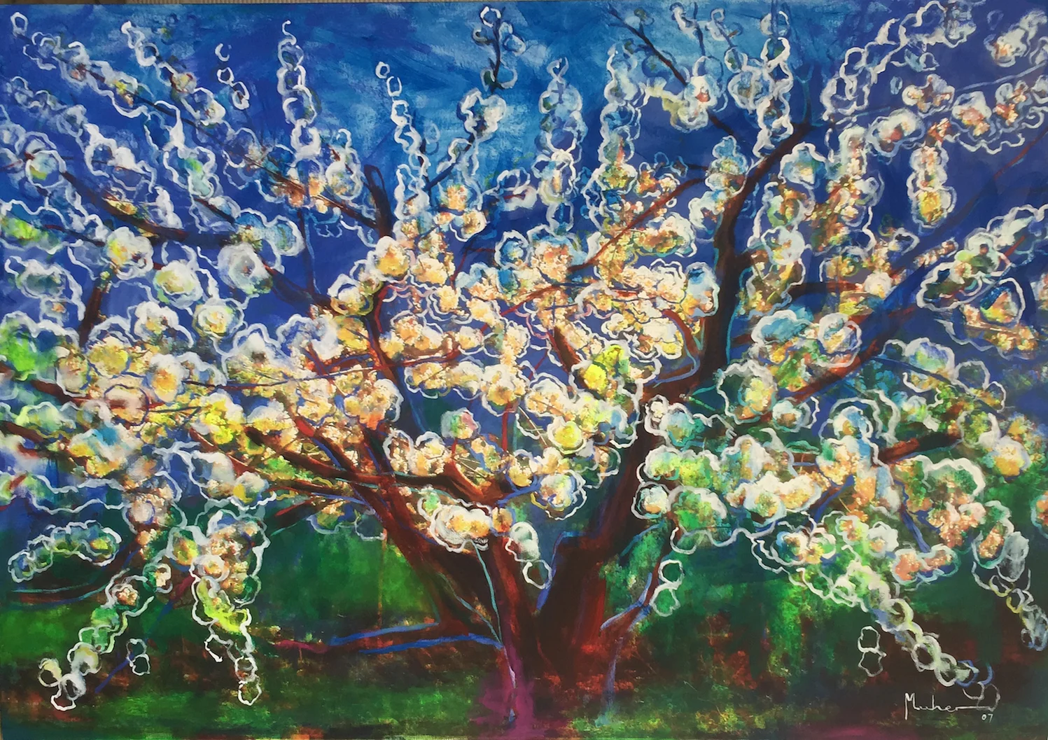 Almond Trees