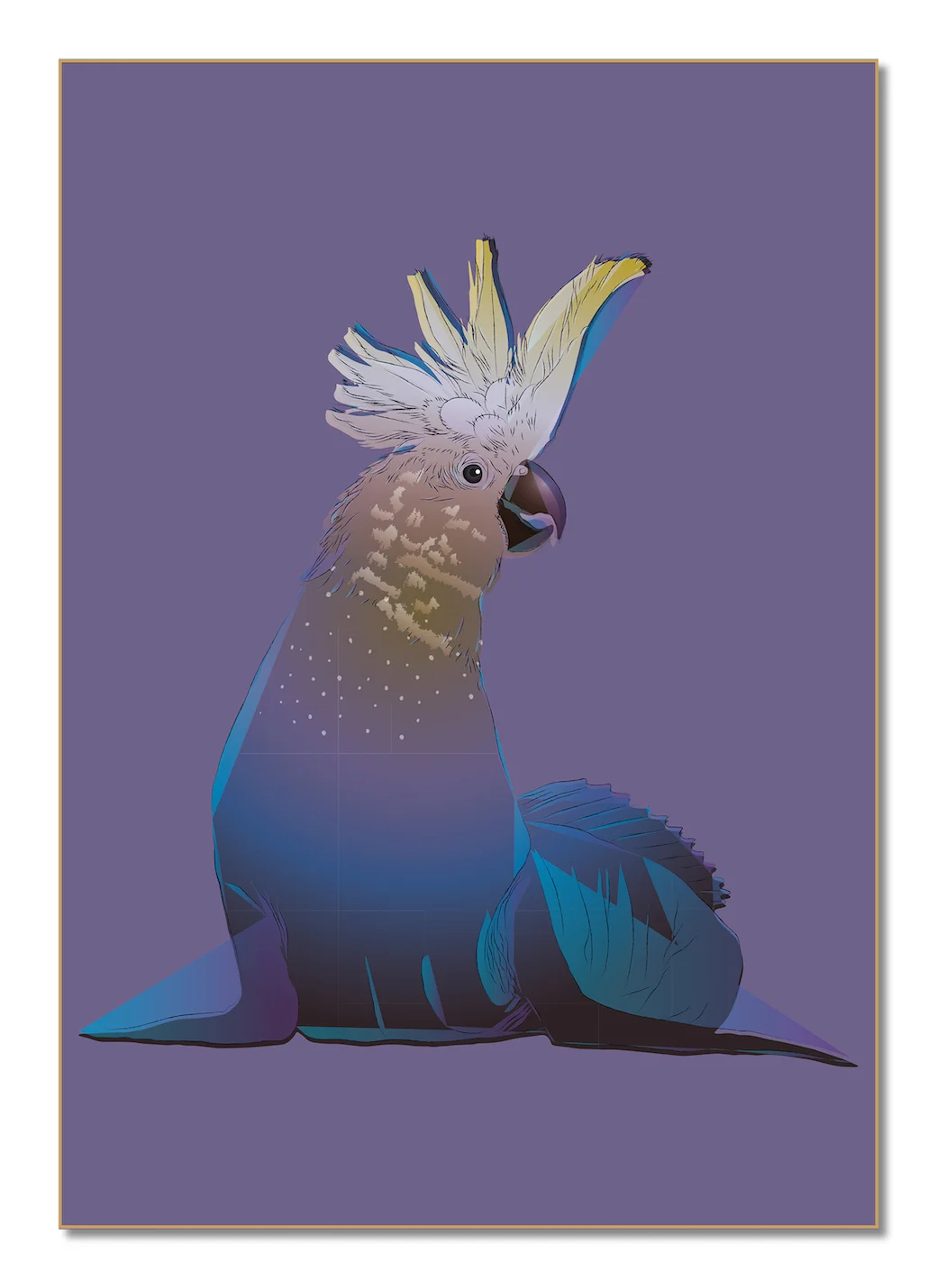 Psittacus Maris