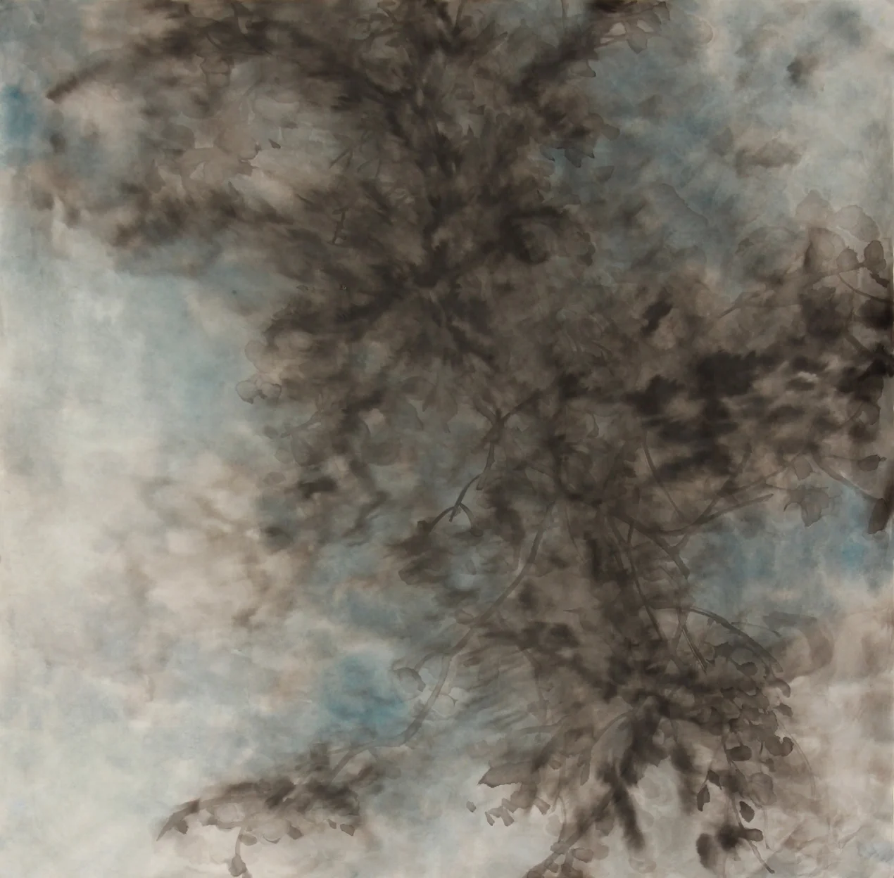 Tree Shadows 1.3, 2015