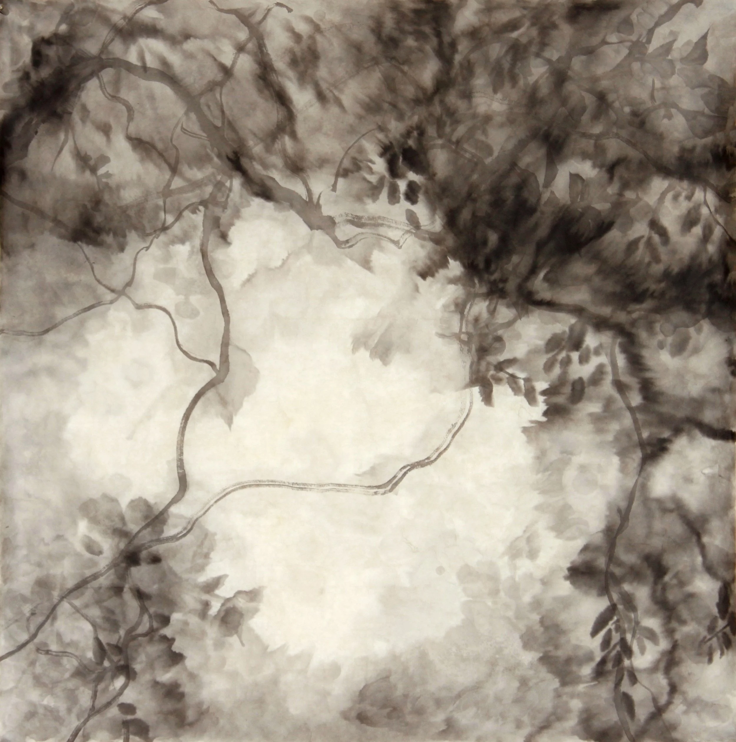 IA-Tree Shadows II;70x70cm;2018 ($30,000).jpg