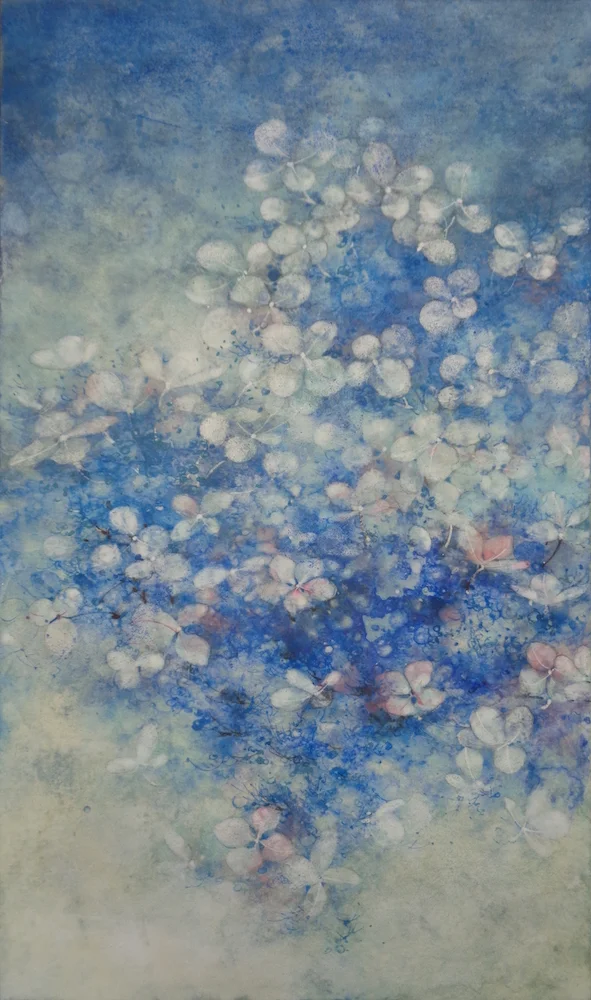 紫陽花, 2018