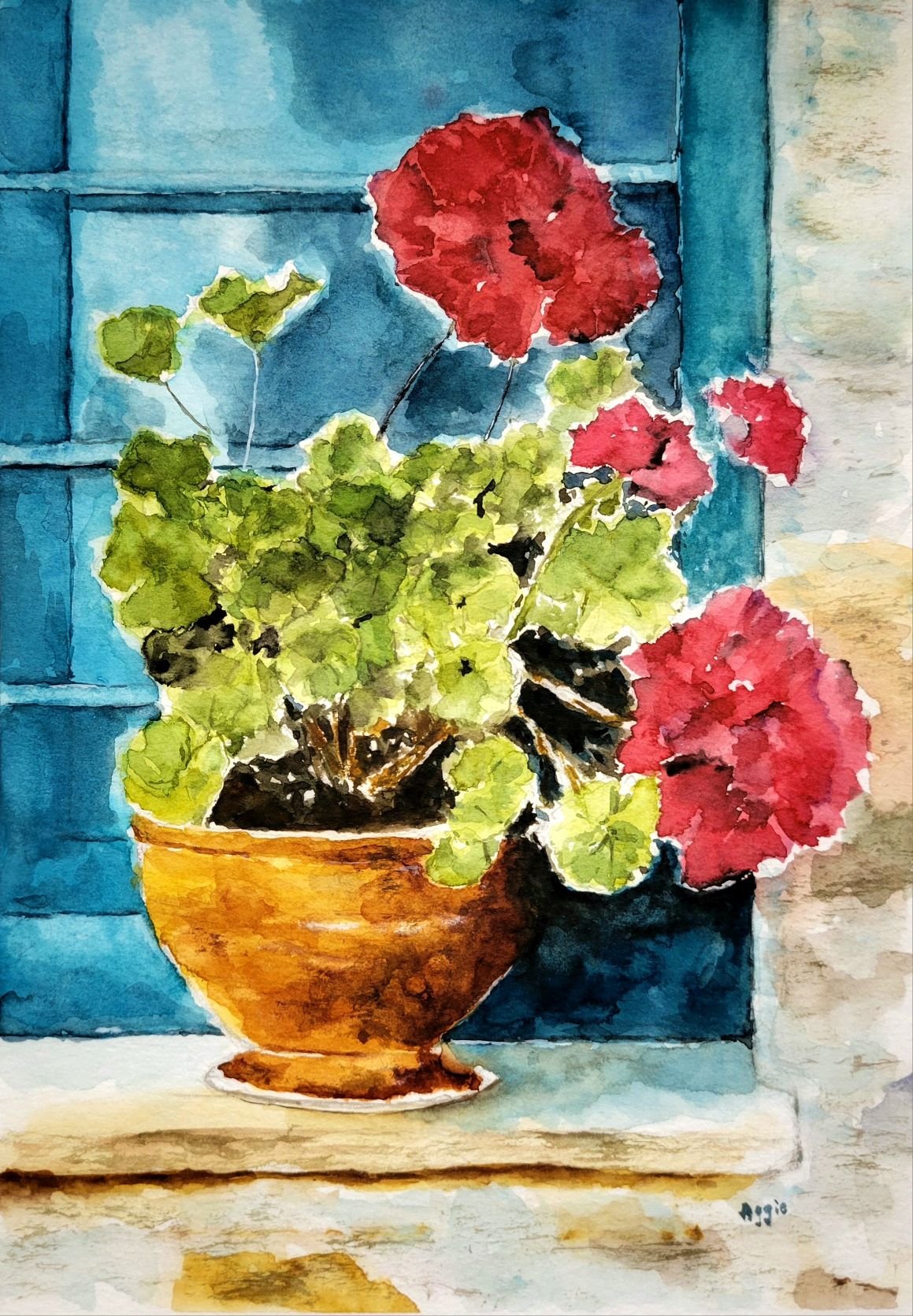 Geraniums in Pot  2022