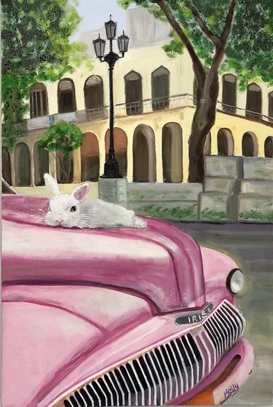 Rabbit in Cuba  2015