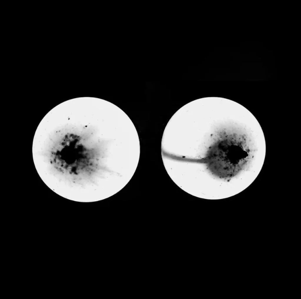 Pechos luminosos  2018