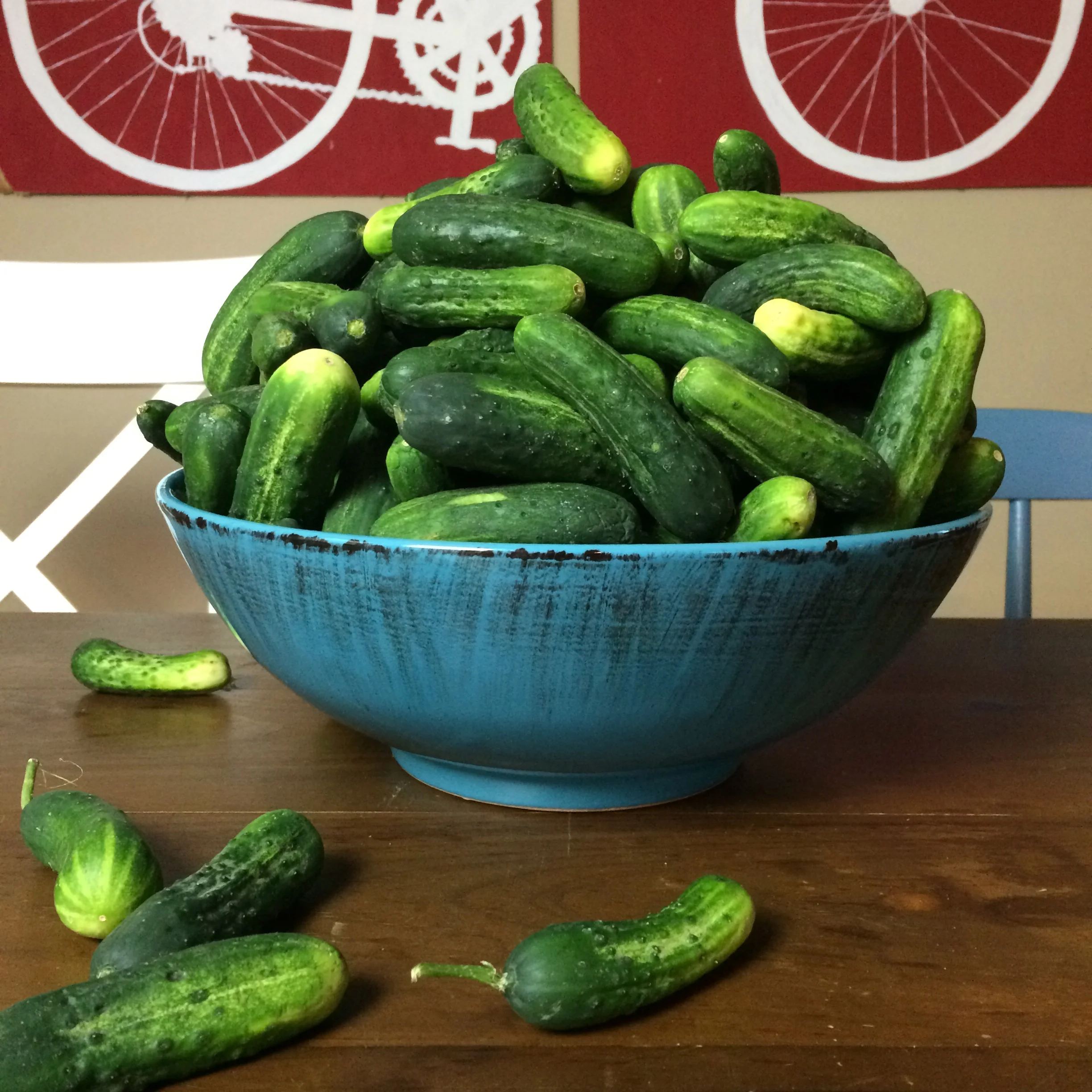 $20 worth of cucumbers from the market will give you lots of pickles for the year.
