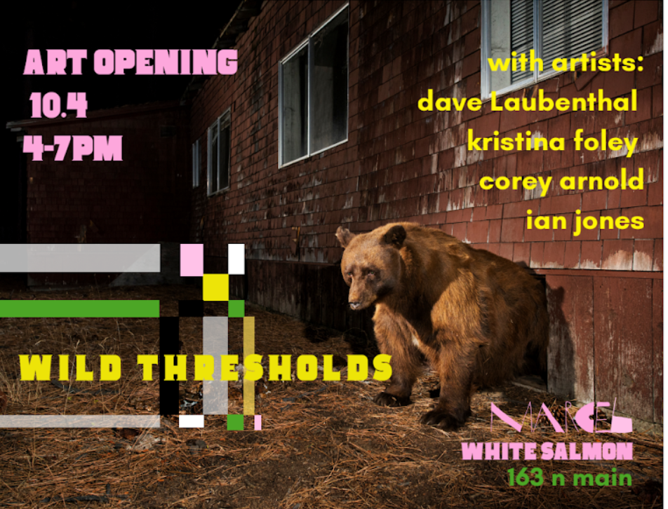 Screenshot 2026-02-21 112407.png