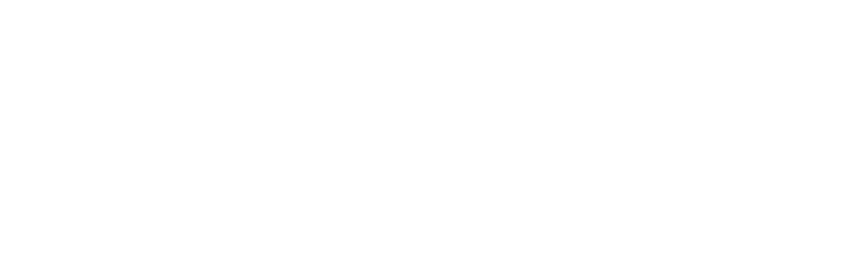 BsAs_Logo_New_WhiteTransparent.png