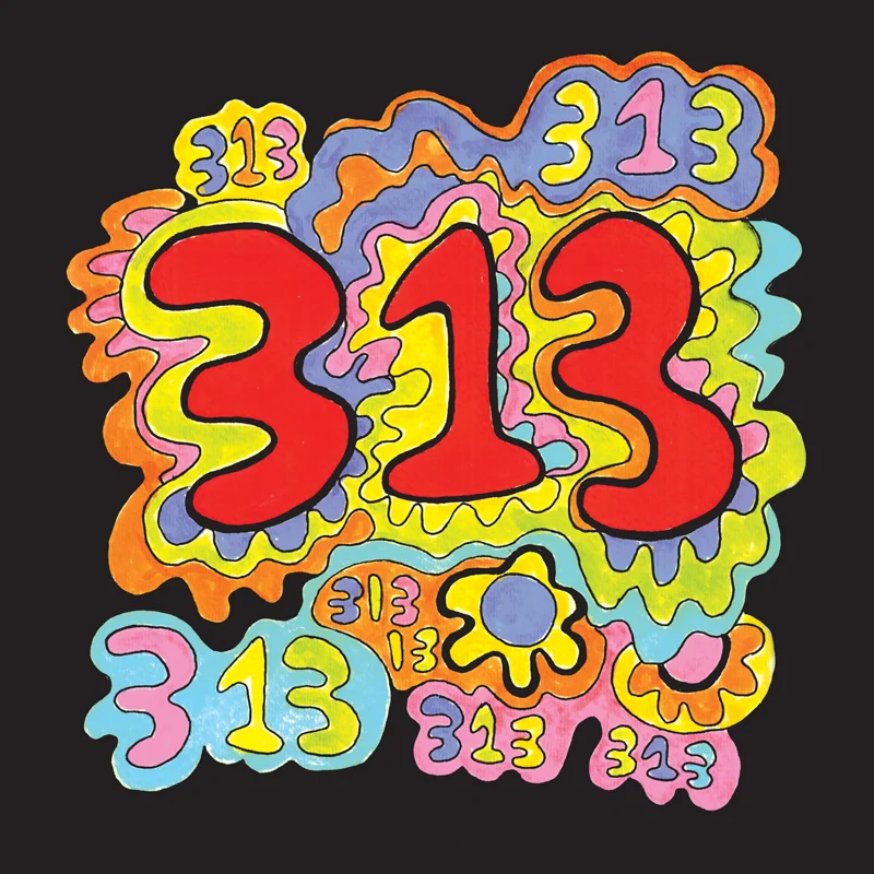 313 Cover.jpg