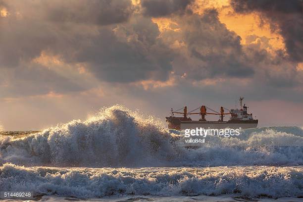 Photo by valio84sl/iStock / Getty Images