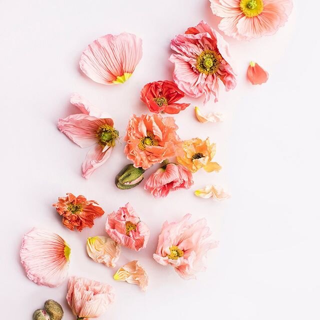 missing flowers + my brides + all the wedding things. 
but also missing Target + HomeGoods.