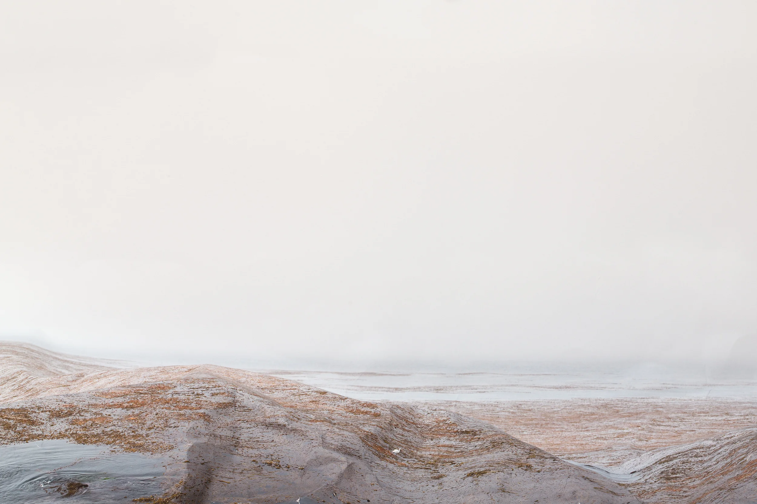 Laura Plageman, Pacific Grove (Study No. 1) , 2013 Digital pigment print, 8 x 12 in, edition of 5 Inquire