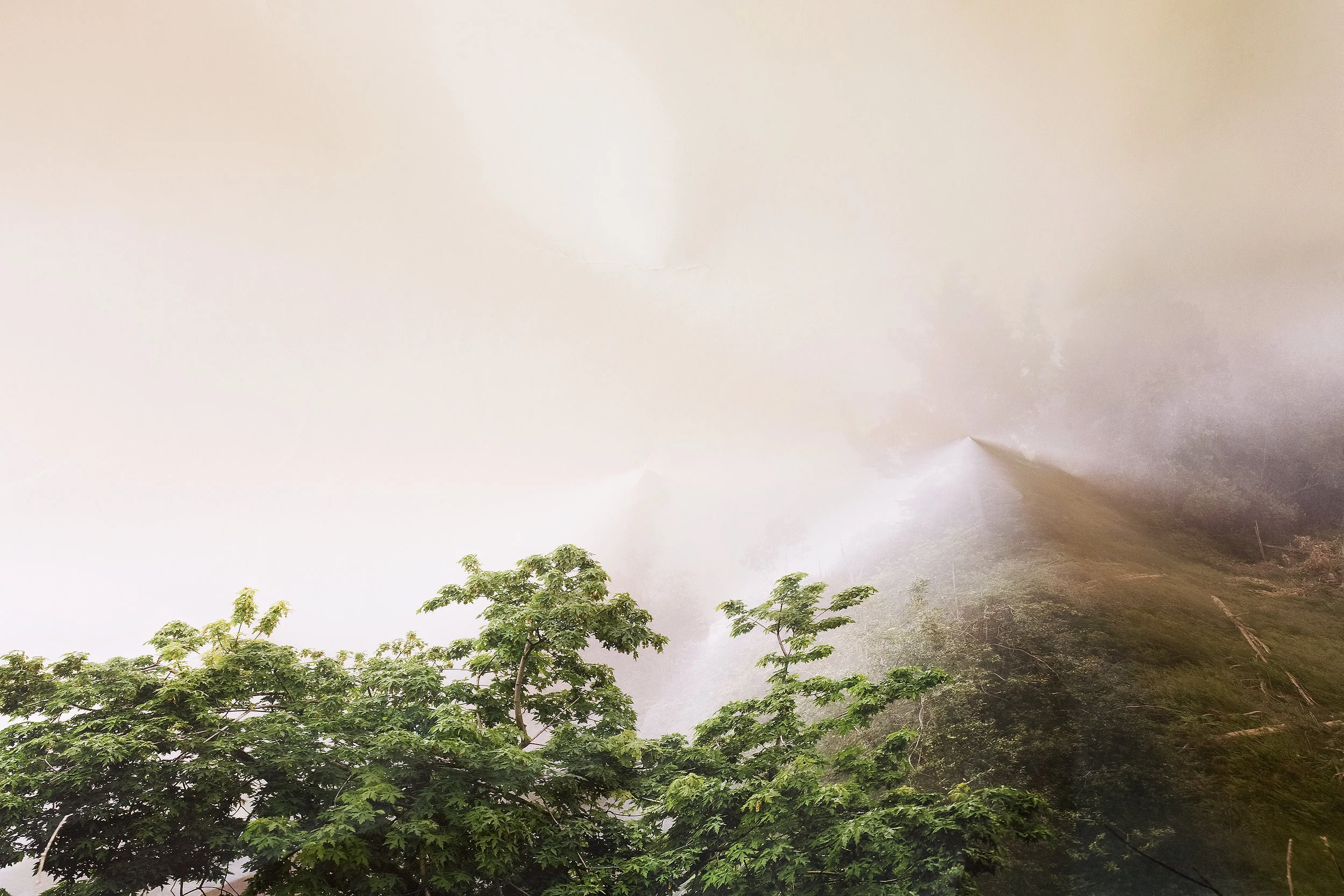 Laura Plageman, Response to Trees and Fog, California , 2010 Digital pigment print, 16.2 x 24 in, edition of 10 Inquire