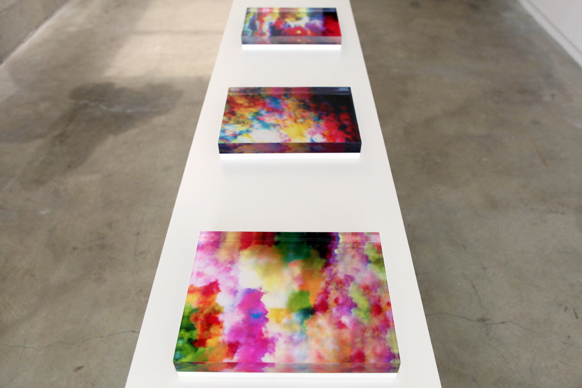 Naida Osline, Backyard High Nos. 1 - 4 (installation view) , 2013 Digital pigment print face-mounted to 1 in plexiglass with Sintra backing, 8 x 10 in each, edition of 25 Inquire