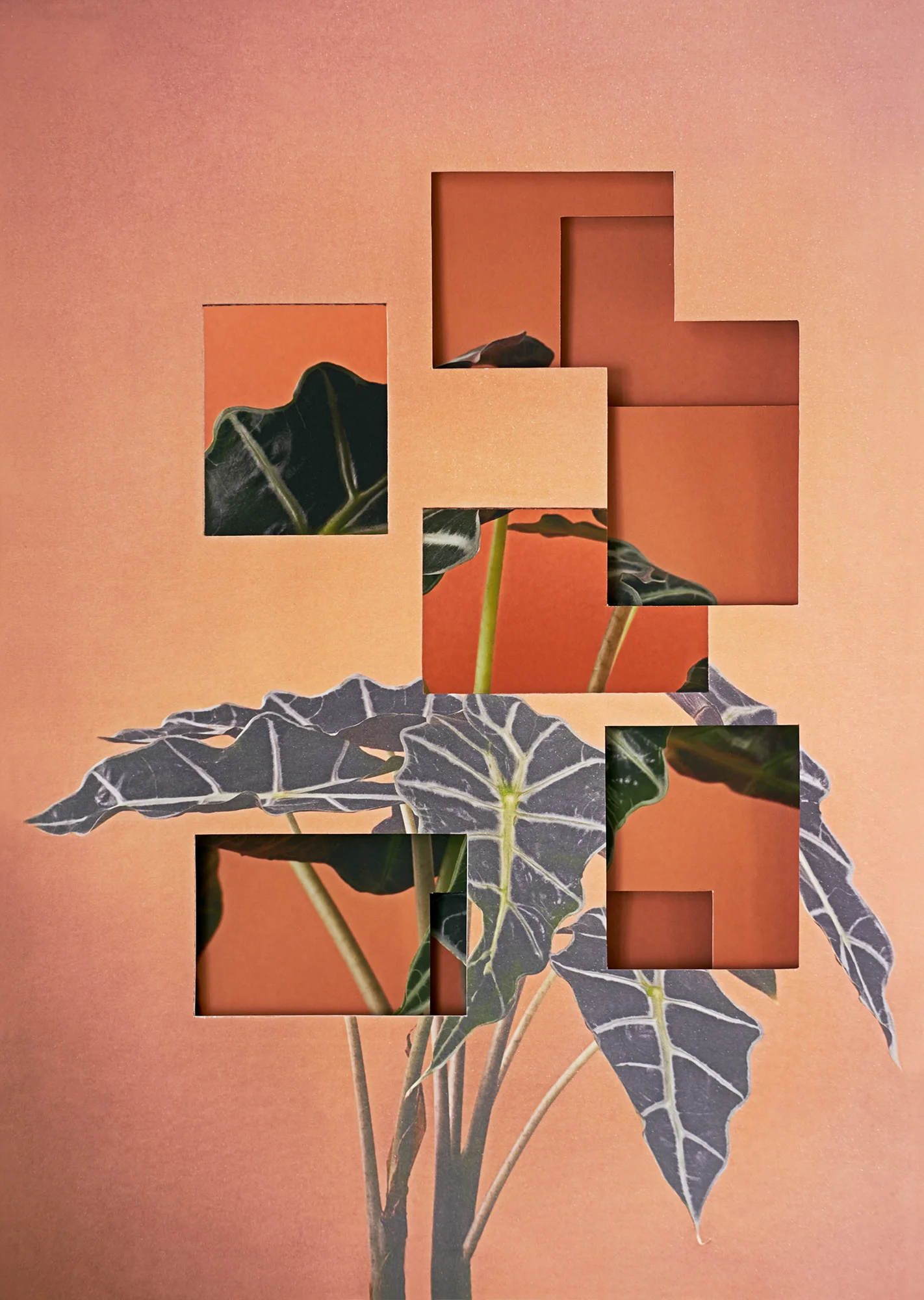 Alma Haser, Alocasia , 2018 Layered and cut digital pigment prints (3 layers), 47 x 35 cm total (approx. 18.5 x 13.75 in), edition of 7 Inquire