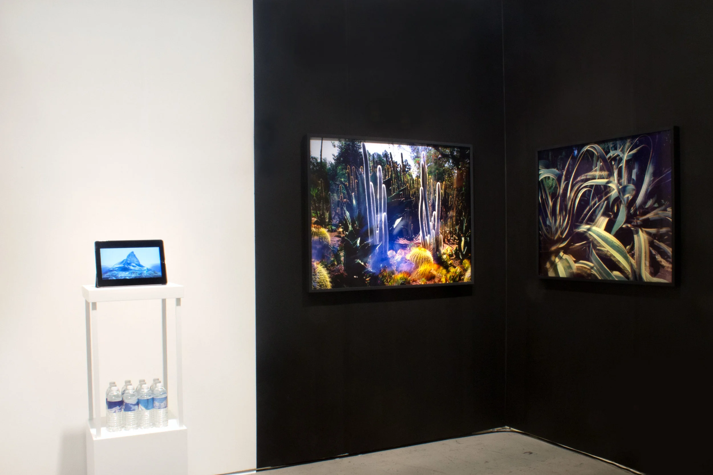 Alma Haser, Jonas N.T. Becker, and Connie Samaras at Photo LA 2019 Inquire