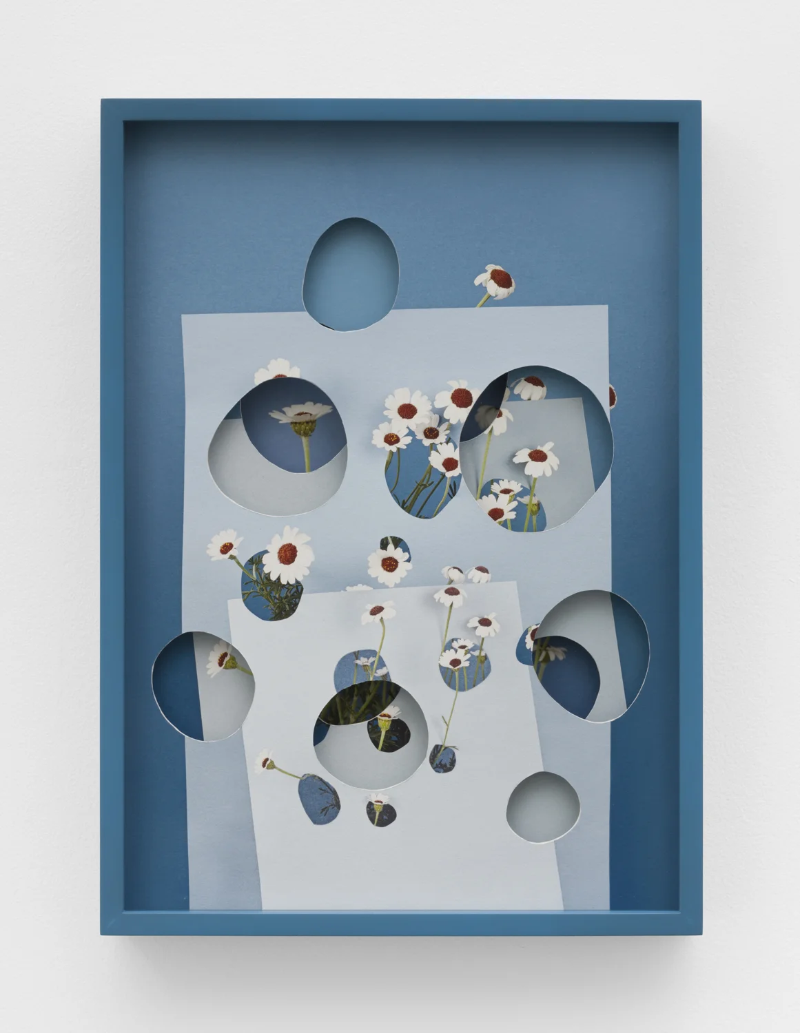 Alma Haser, Rhodanthemum , 2018 Layered and cut digital pigment prints (3 layers), 47 x 35 cm total (approx. 18.5 x 13.75 in) with custom color frame, edition of 7, $2300 Inquire