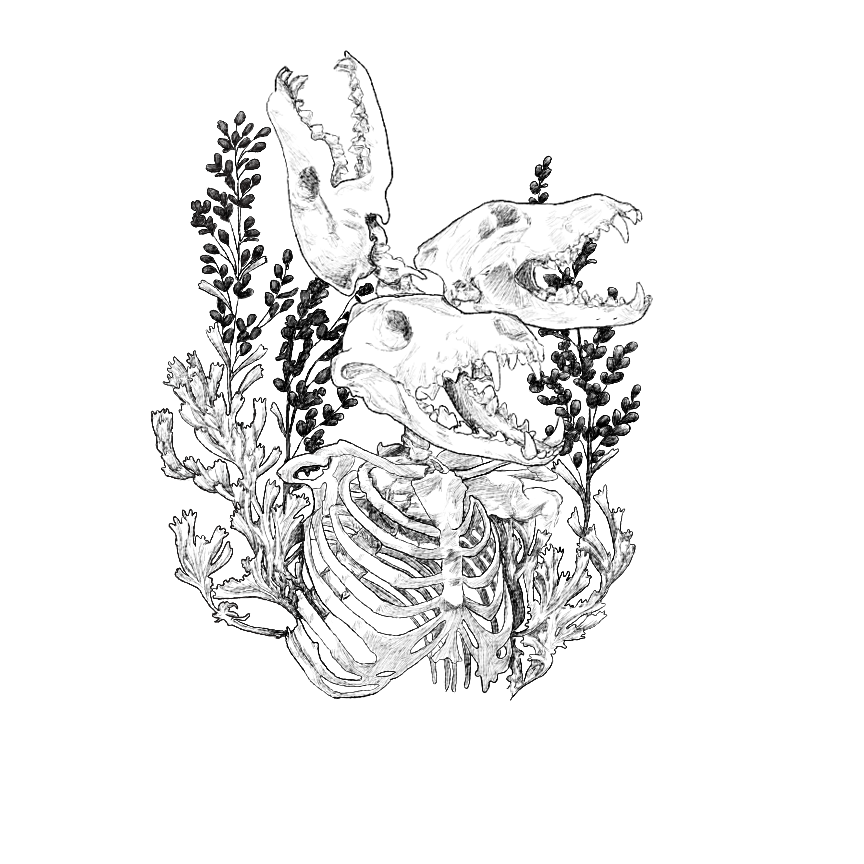 FF1FADE1-72A1-416A-98A8-DF51CDB8E56B.png