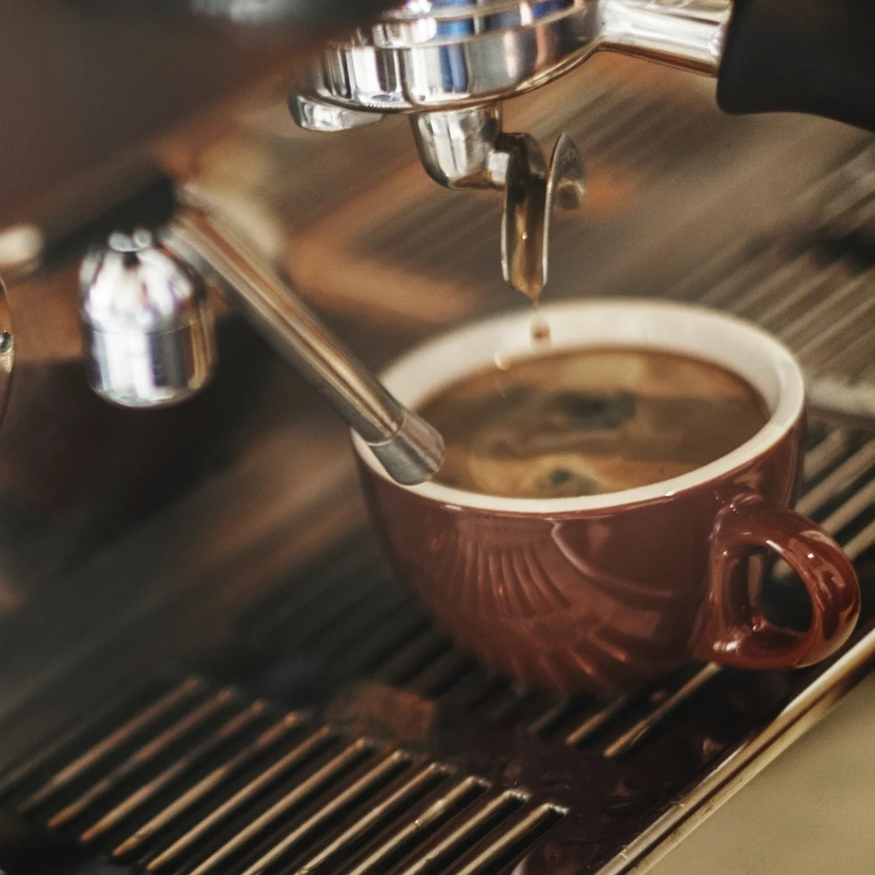 attractive-bar-barista-296888.jpg