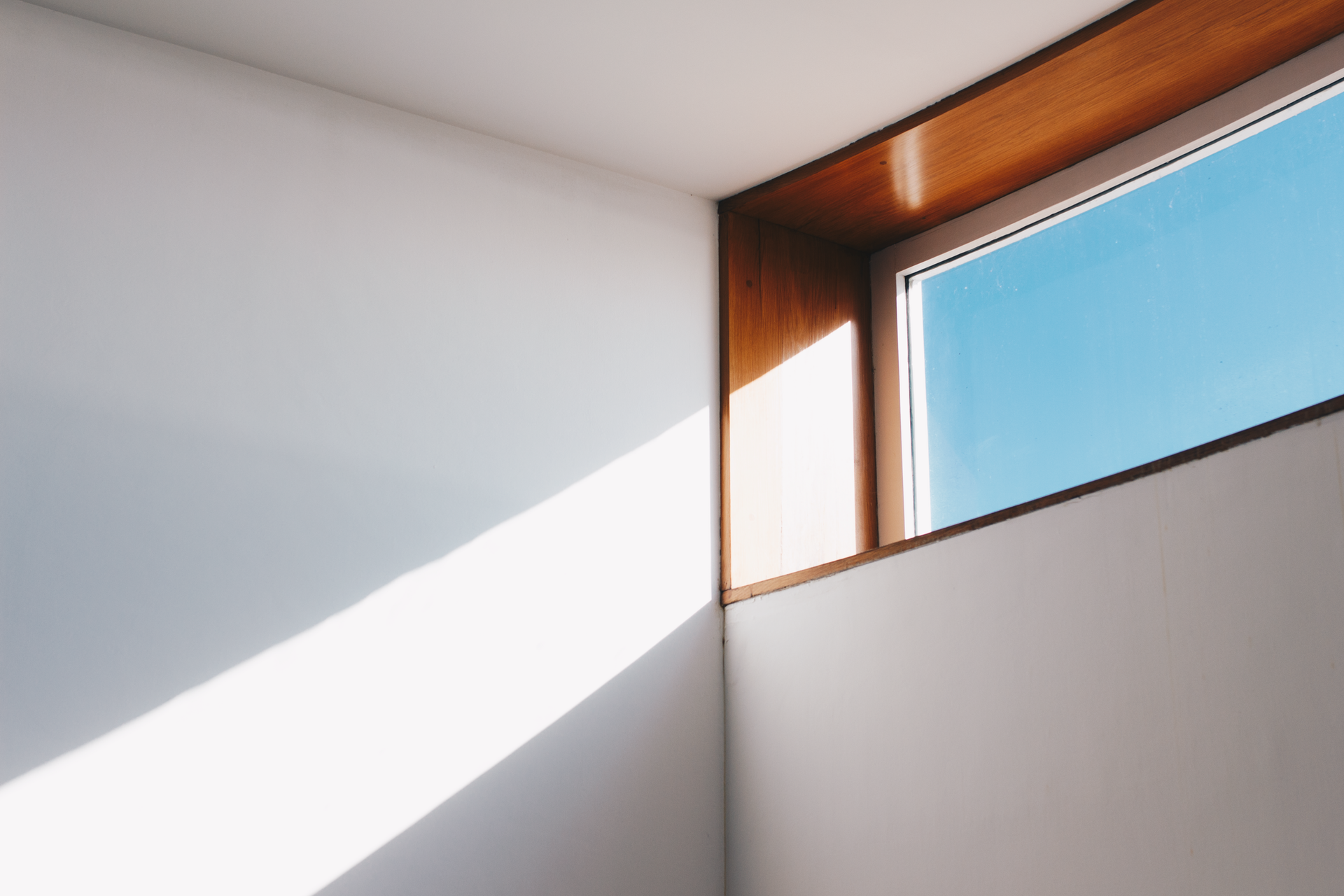 pexels-photo-921294.png