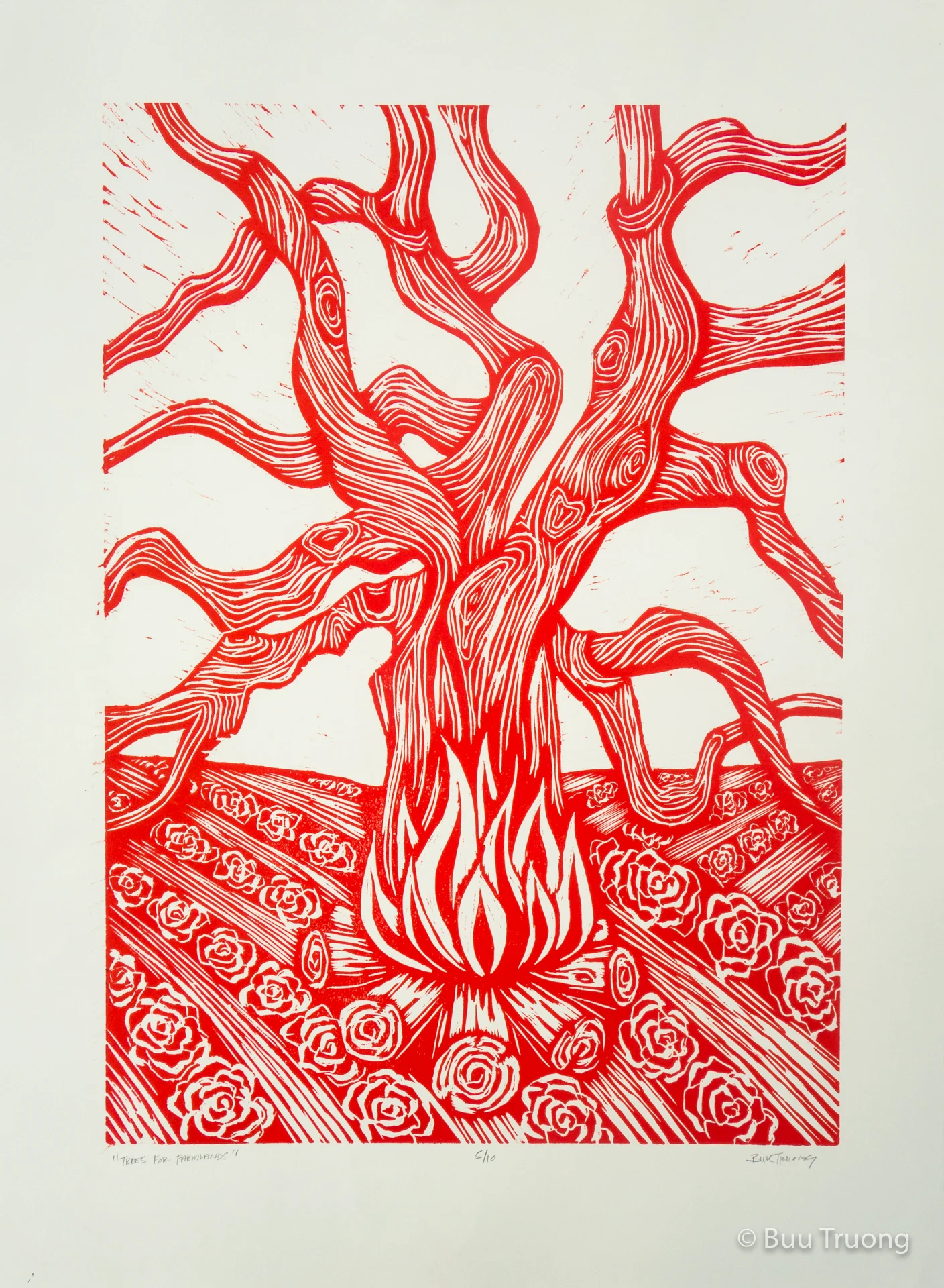 Trees for Farmlands (Red)