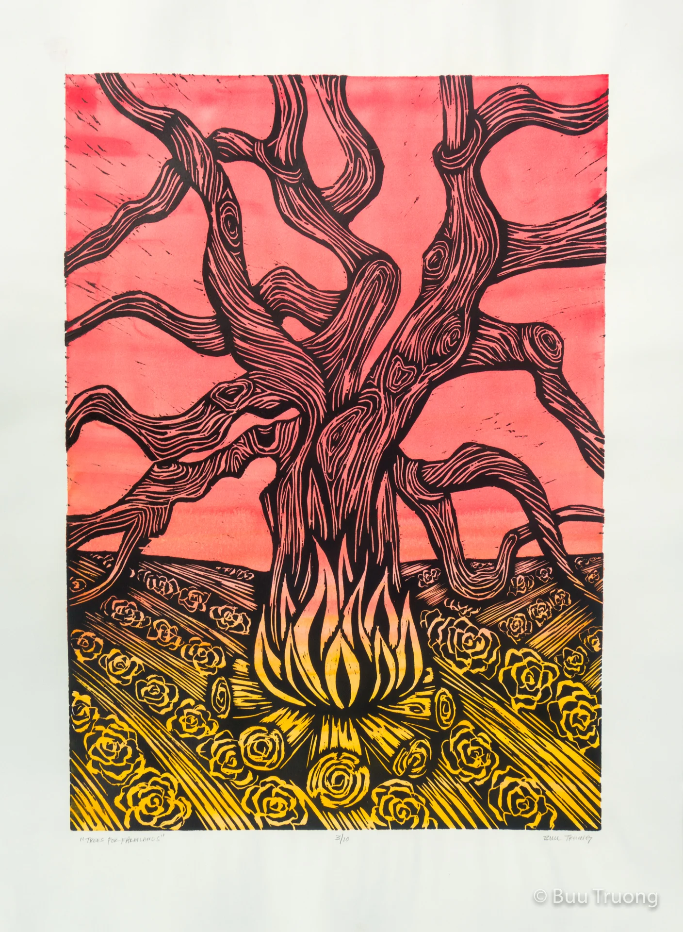 Trees for Farmlands (BW with Red Yellow)