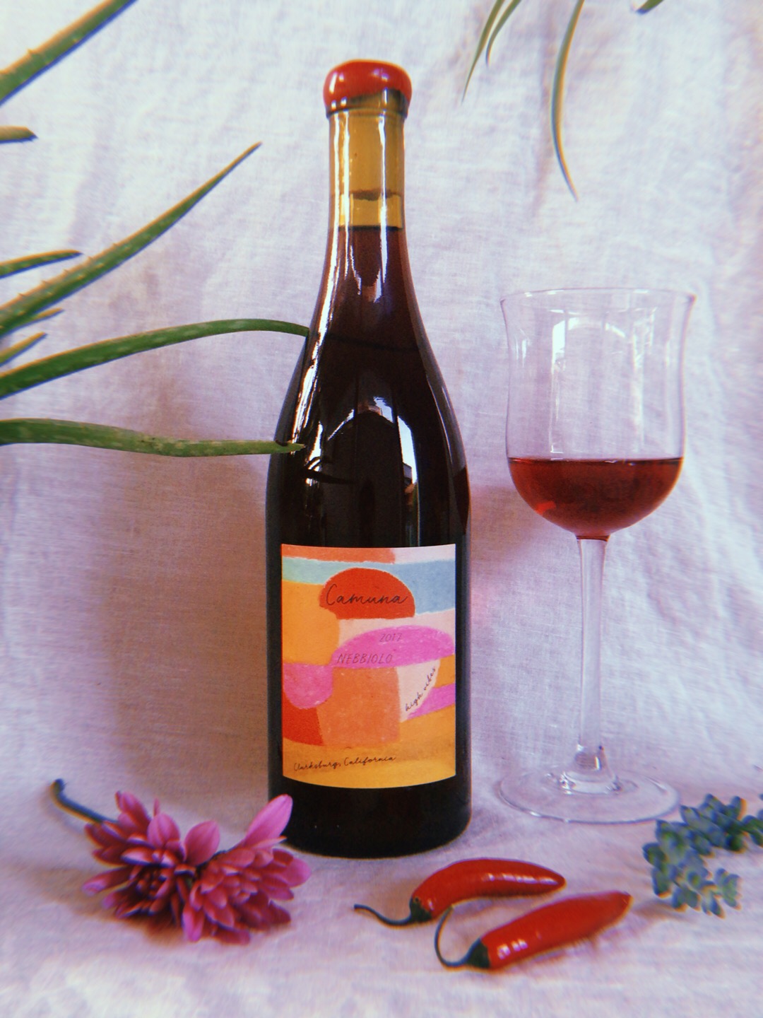 nebbiolo with peppers.jpg
