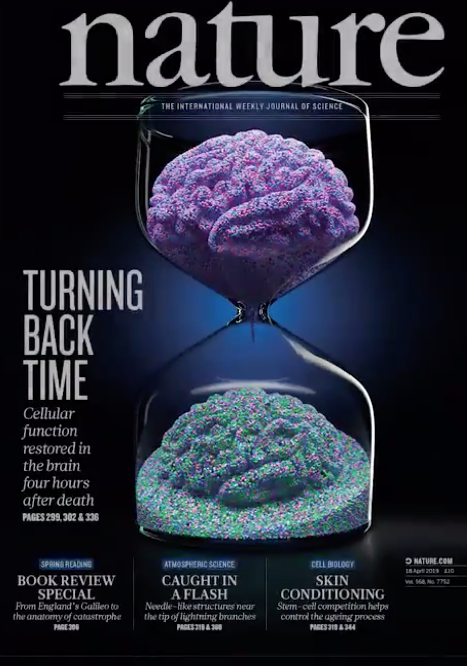 Restoration of Brain Functions aka The Curious Case of a Dead Brain ...