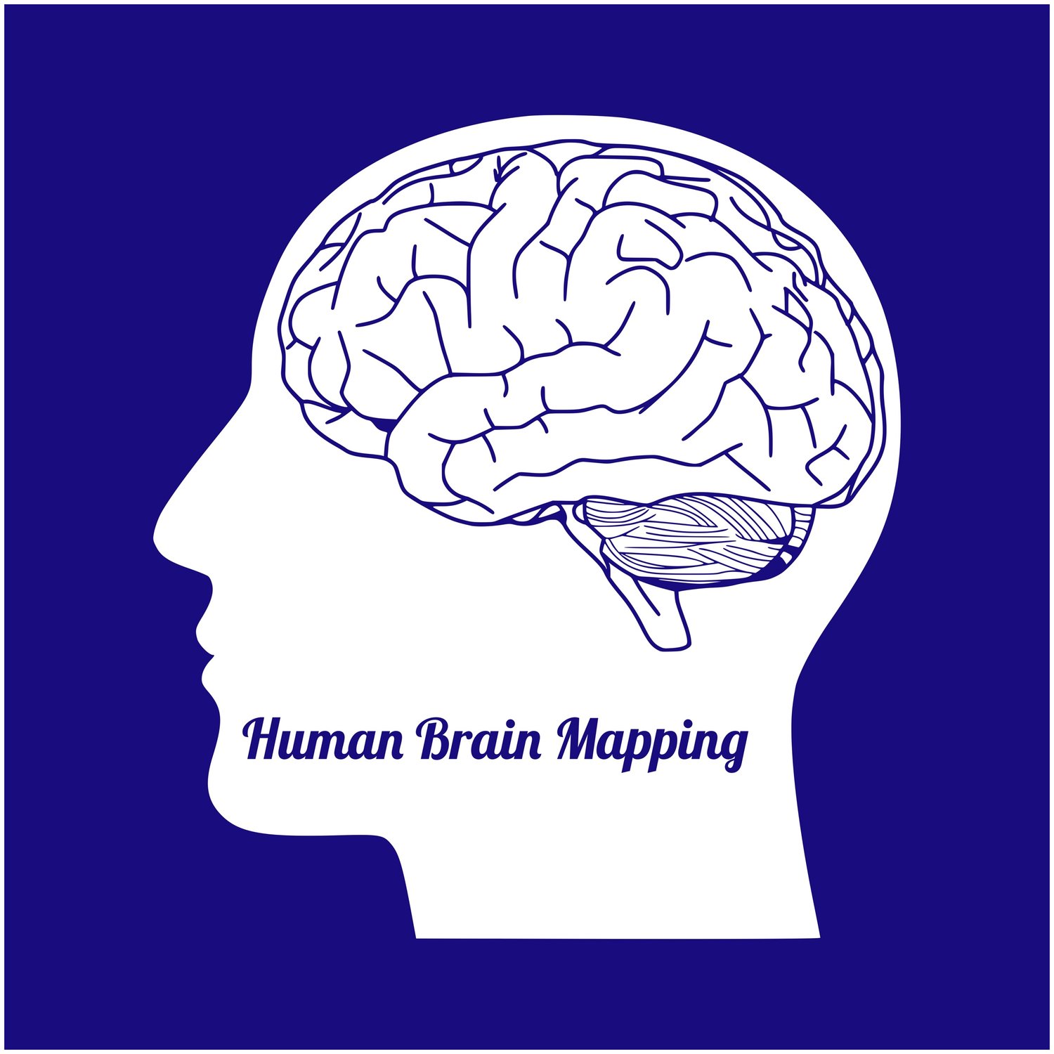 Brain карта. Карта мозга. Мозг человека карточка. Брейн карта. Подробная карта мозга.