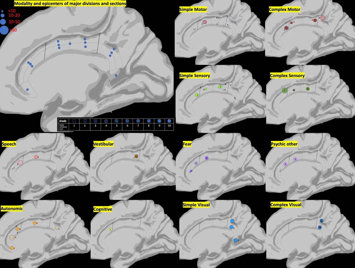 Multiple medial brain diagrams map reproducible cingulate stimulation responses including motor, sensory, vestibular, affective, visual, speech, and autonomic functions.