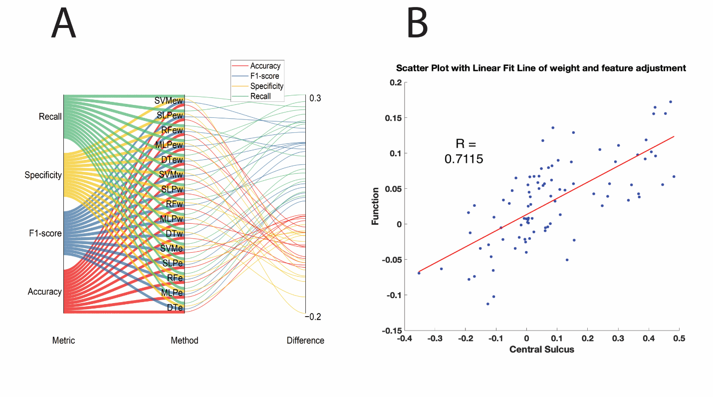Two-panel figure compares performance changes across weighted and feature-extended models and shows a positive association between optimization gains for central-sulcus and functional classification.