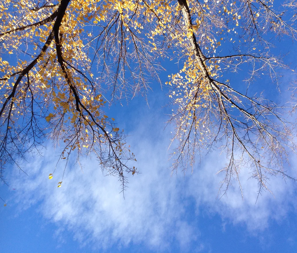 Who Has Seen the Wind? (SATB)