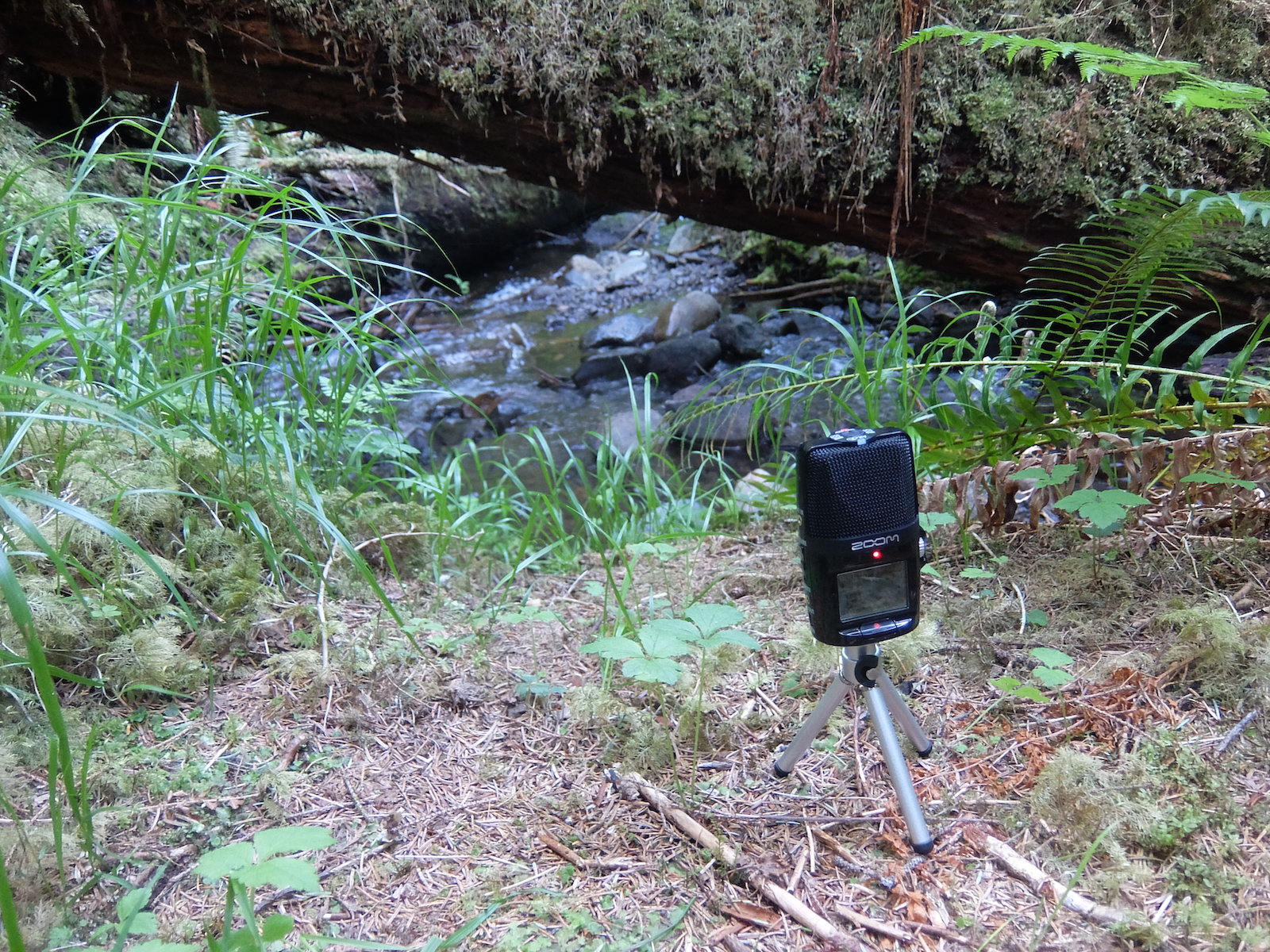 Wide-angle brook recording 