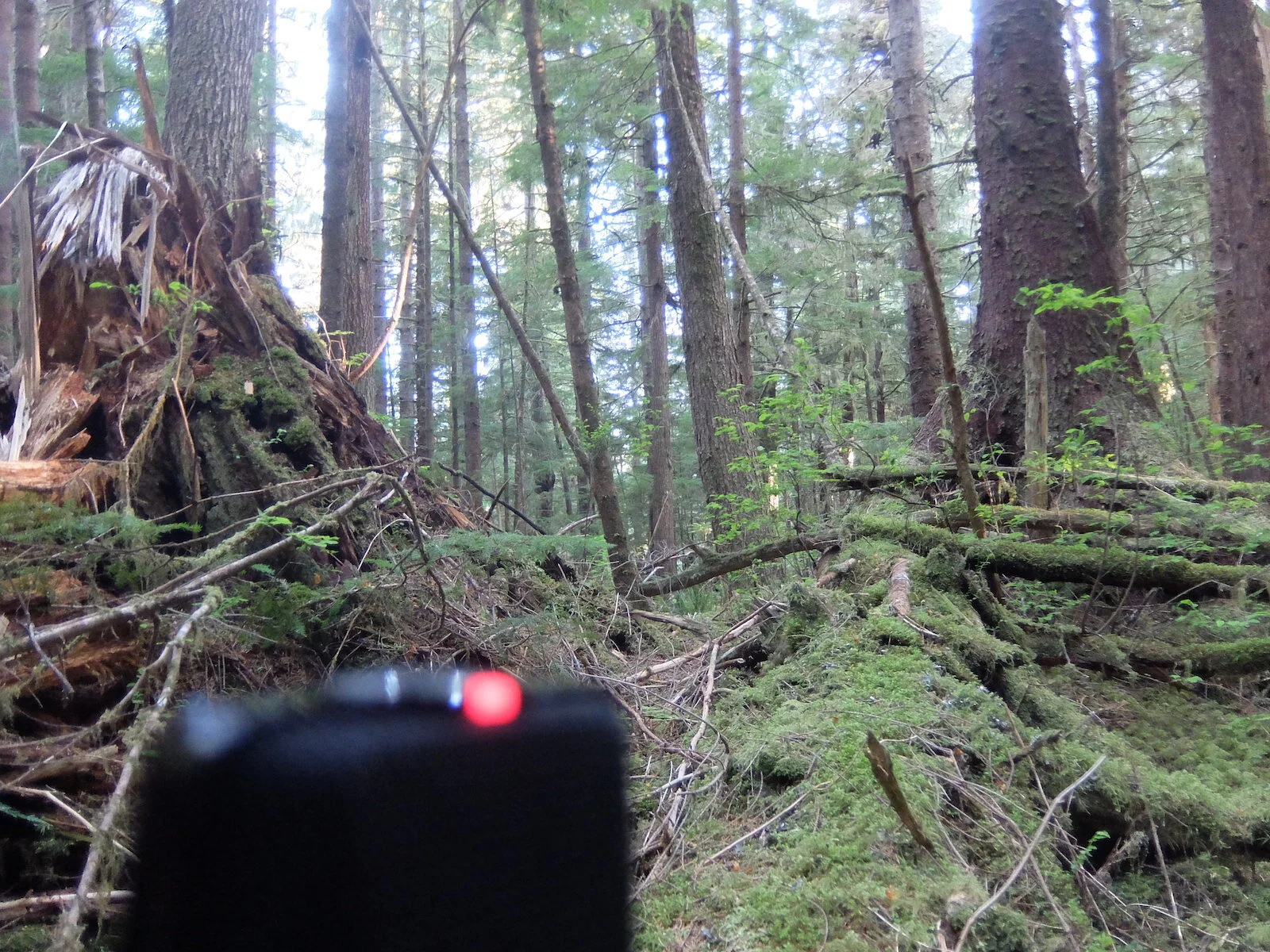 LABYRINTH is now on Bandcamp