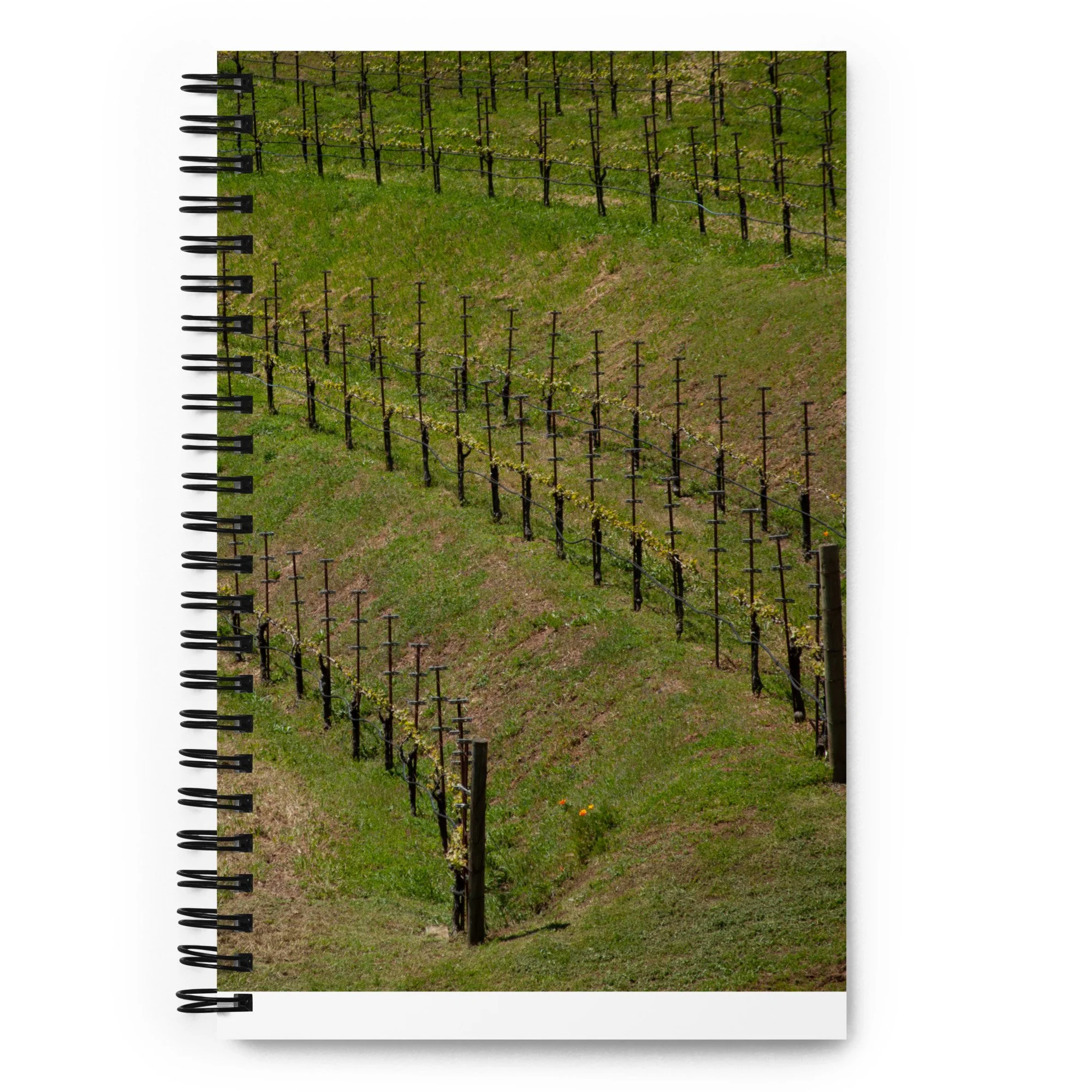 spiral-notebook-white-front-6734faeea4751.jpg