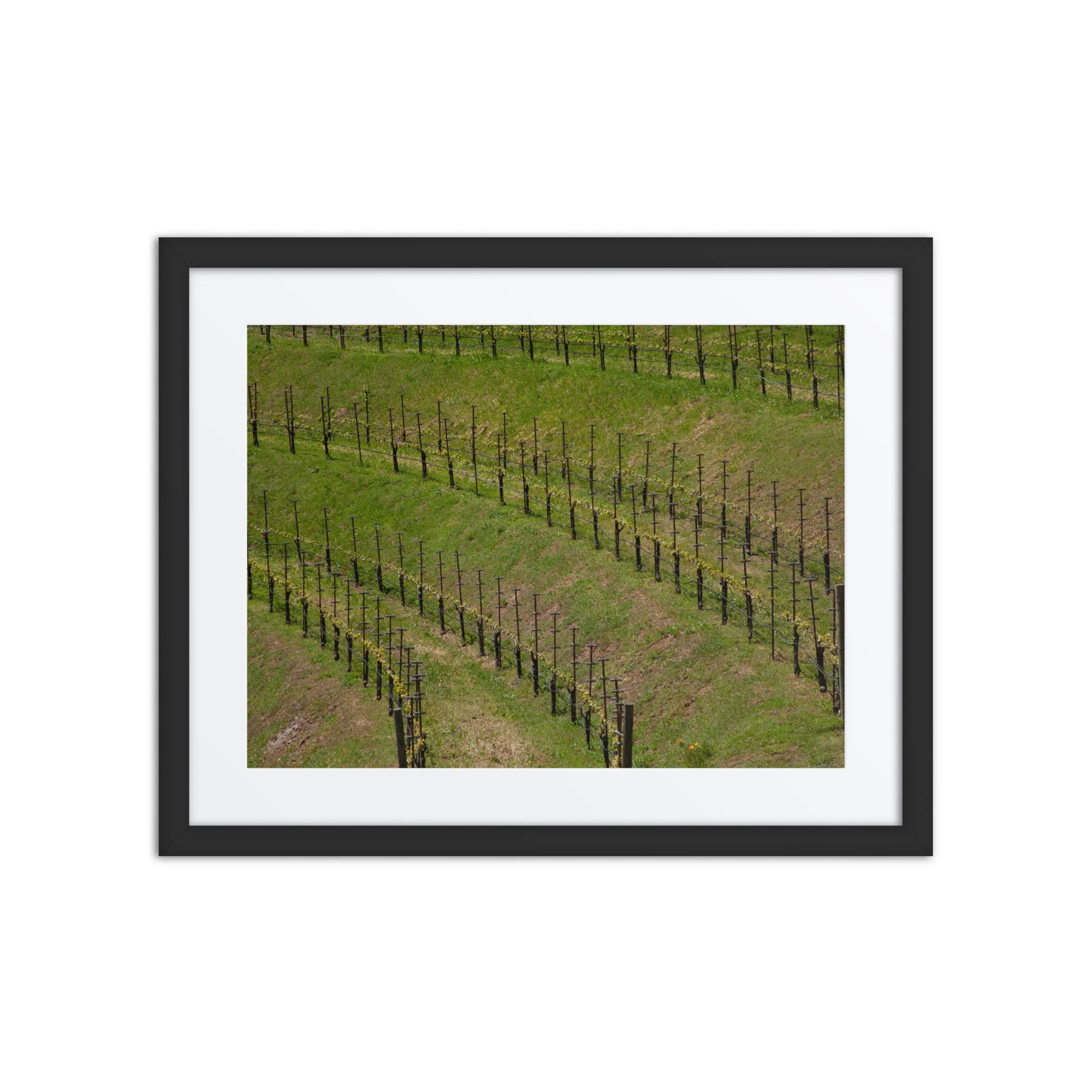 matte-paper-framed-poster-with-mat-(in)-black-16x20-front-6734fb442db9f.jpg