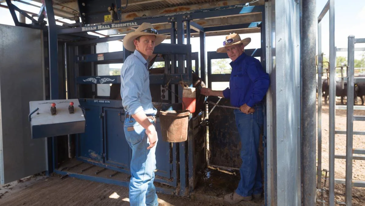 Webbing spaying method hailed best for cows and producers